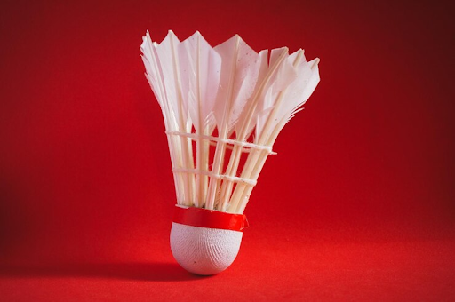 4 Faktor Dalam Memilih Professional Shuttlecock