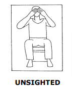 isyarat wasit shuttlecock unsighted
