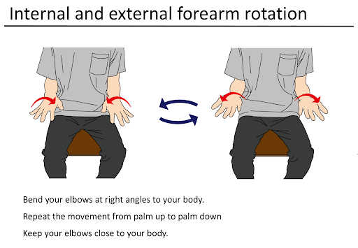 Forearm Rotations