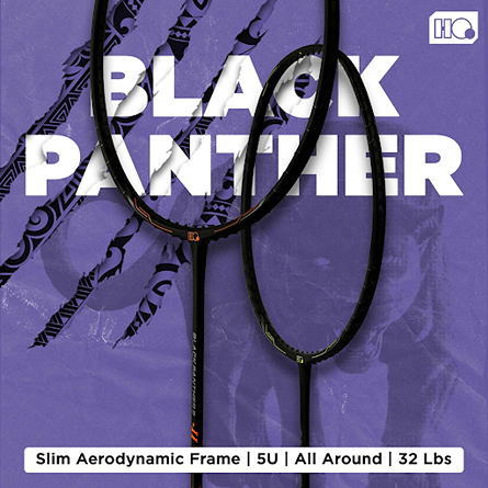 Hi‑Qua Black Panther